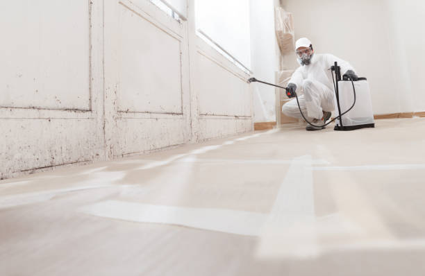 24/7 Emergency Mold Removal experts in West Newton, MA